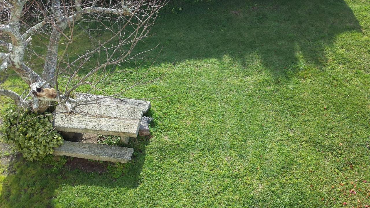 Apartamento Rural Sorribos موروس المظهر الخارجي الصورة
